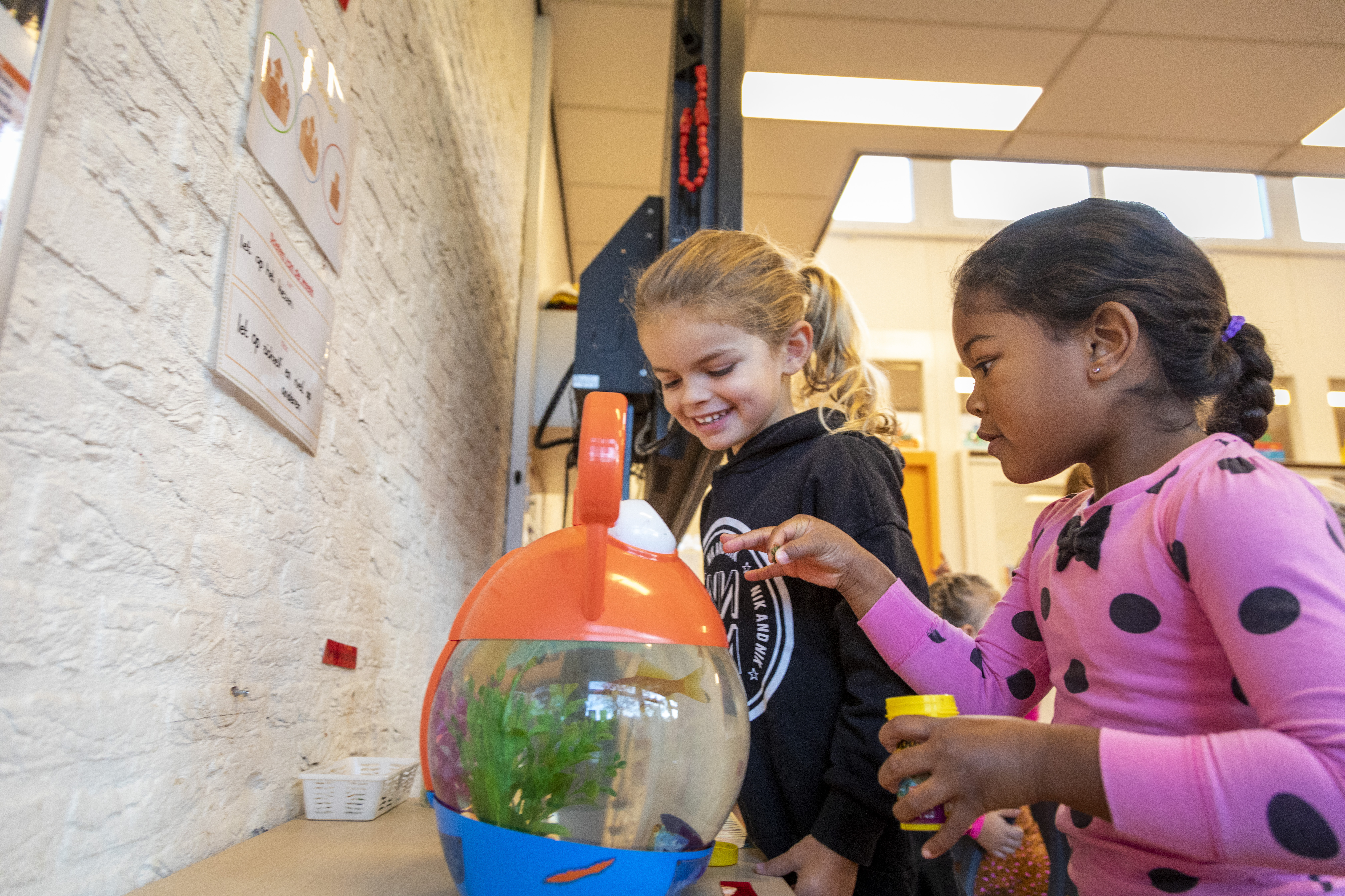 Kleuters Vissenkom Met Meisjes